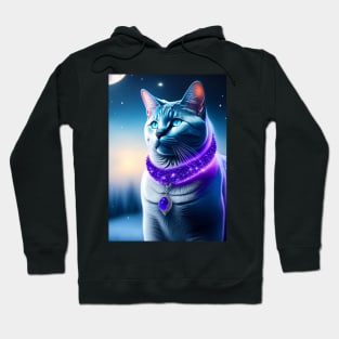 Nordic British Shorthair Hoodie